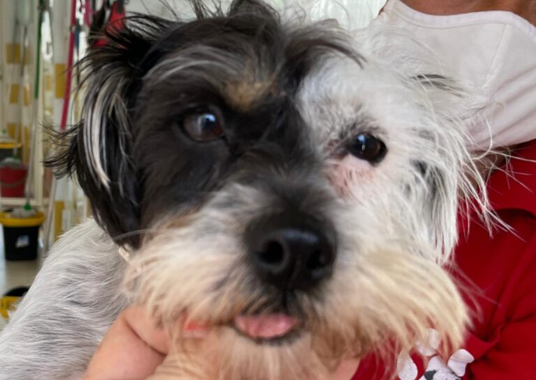 multimedia-foto71971-513-1