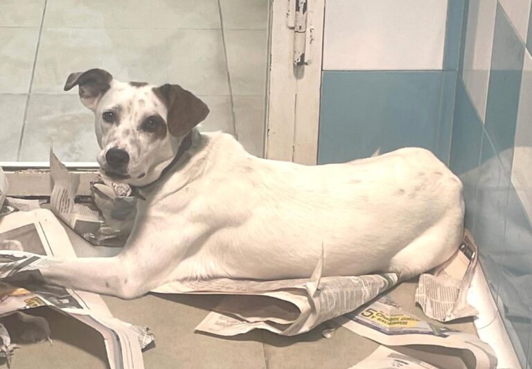 multimedia-foto71975-150-1