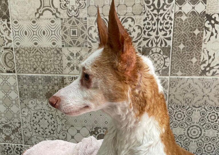 multimedia-foto71976-539-1