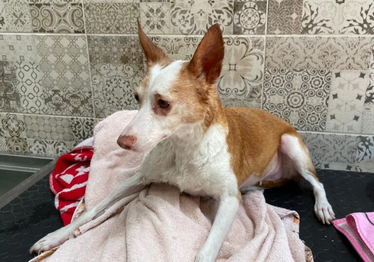 multimedia-foto71977-539-1