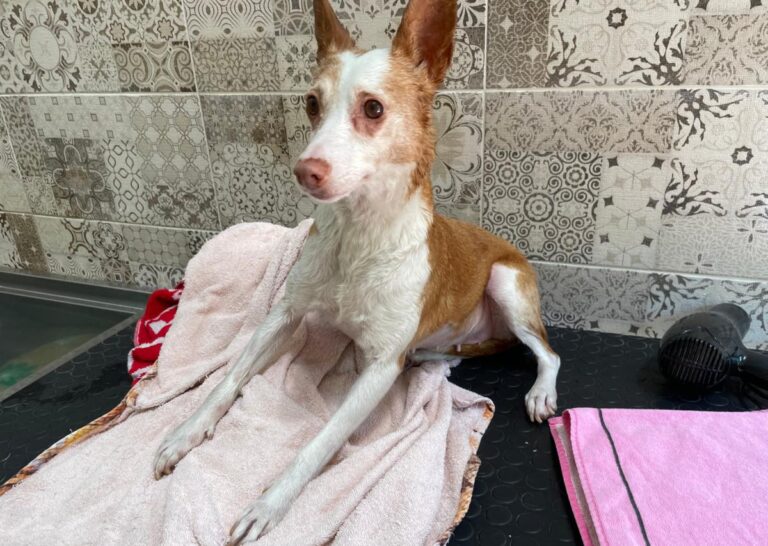 multimedia-foto71979-540-1