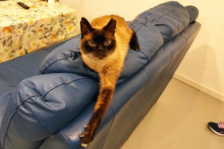 multimedia-foto71980-853-1