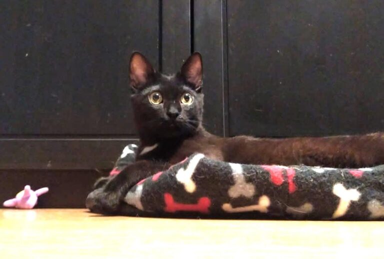 multimedia-foto71983-8-1