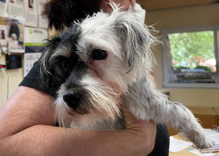 multimedia-foto72011-355-1