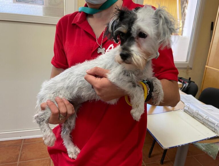 multimedia-foto72013-356-1