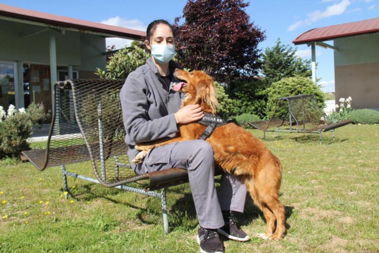 multimedia-foto72026-920-1