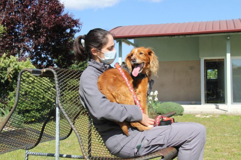 multimedia-foto72027-920-1