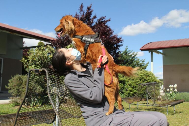 multimedia-foto72028-921-1