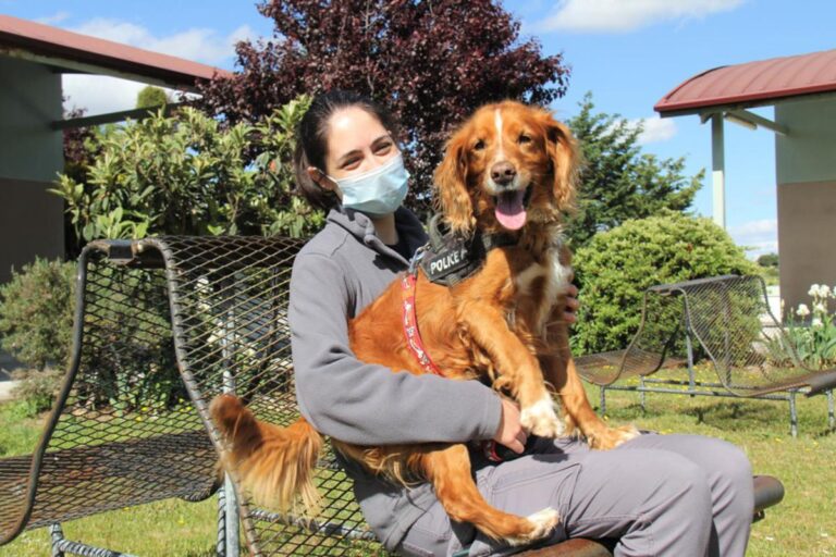 multimedia-foto72029-921-1