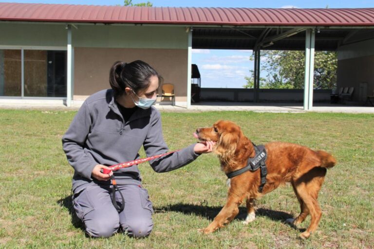 multimedia-foto72030-921-1