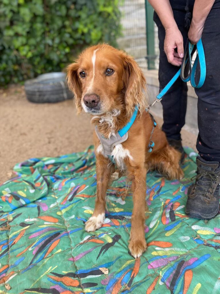 multimedia-foto72033-934-1