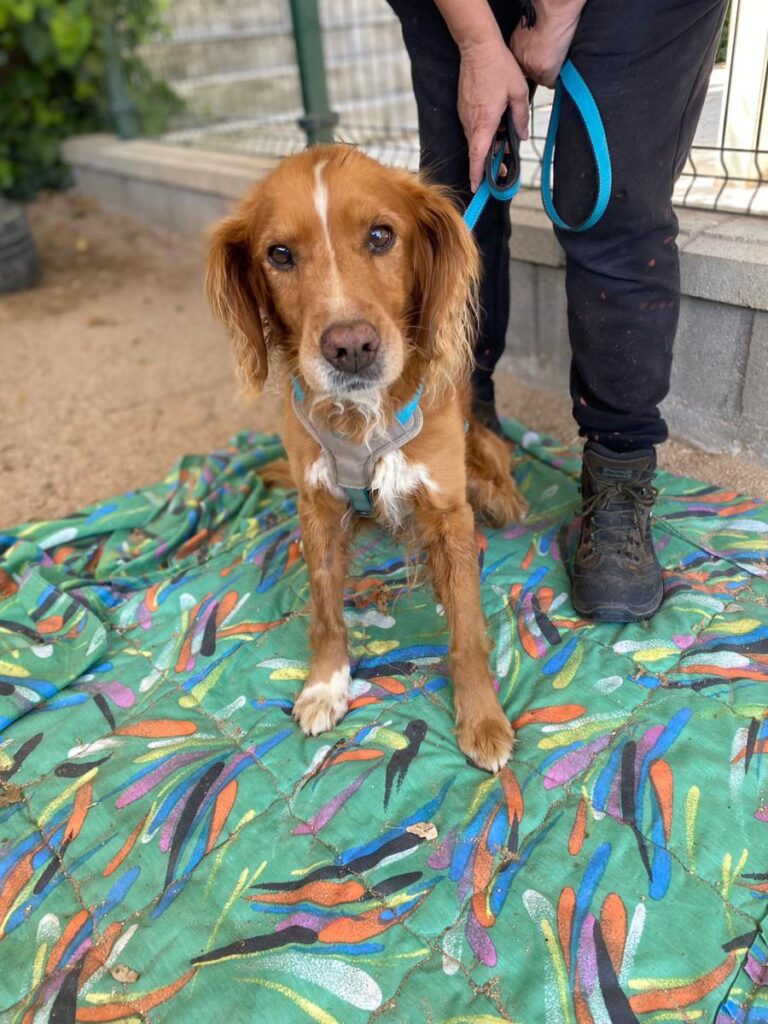 multimedia-foto72034-935-1