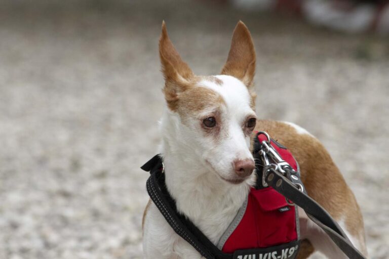 multimedia-foto72043-206-1