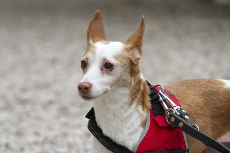 multimedia-foto72044-206-1