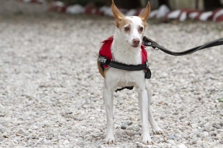 multimedia-foto72045-206-1