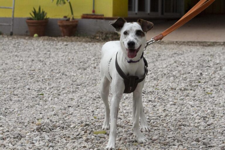 multimedia-foto72091-830-1