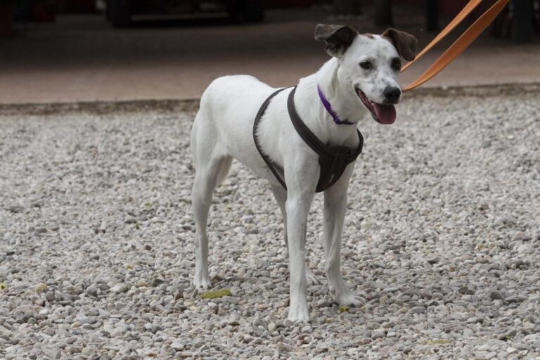 multimedia-foto72094-831-1