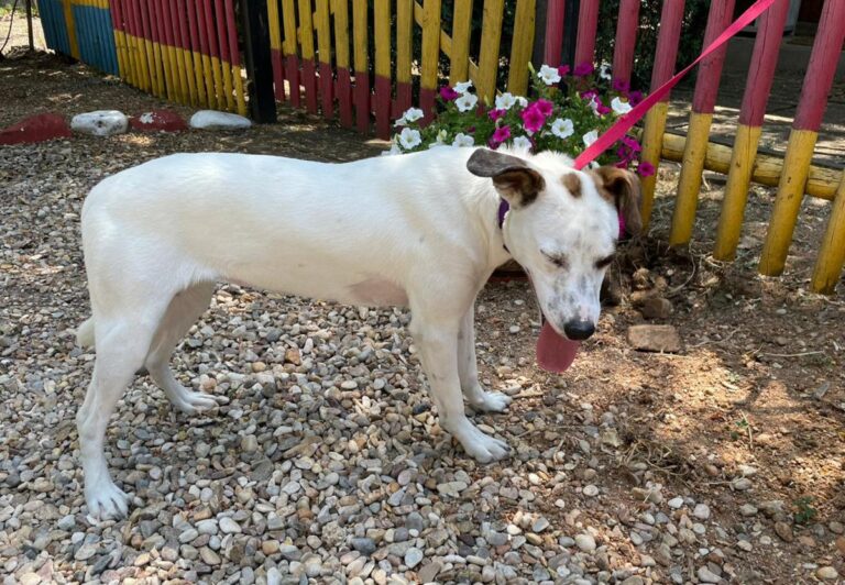 multimedia-foto72096-11-1