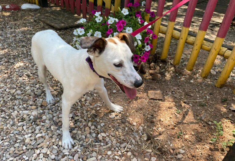 multimedia-foto72097-11-1