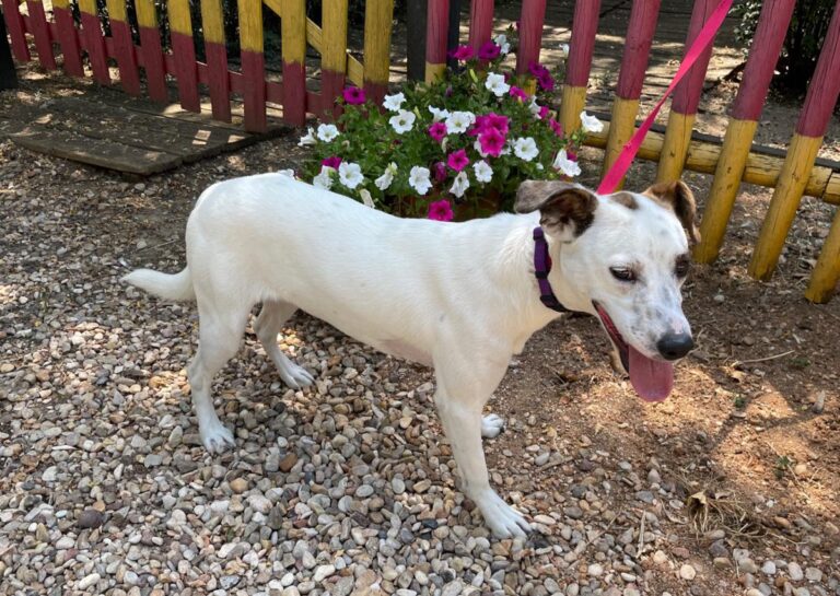 multimedia-foto72098-11-1