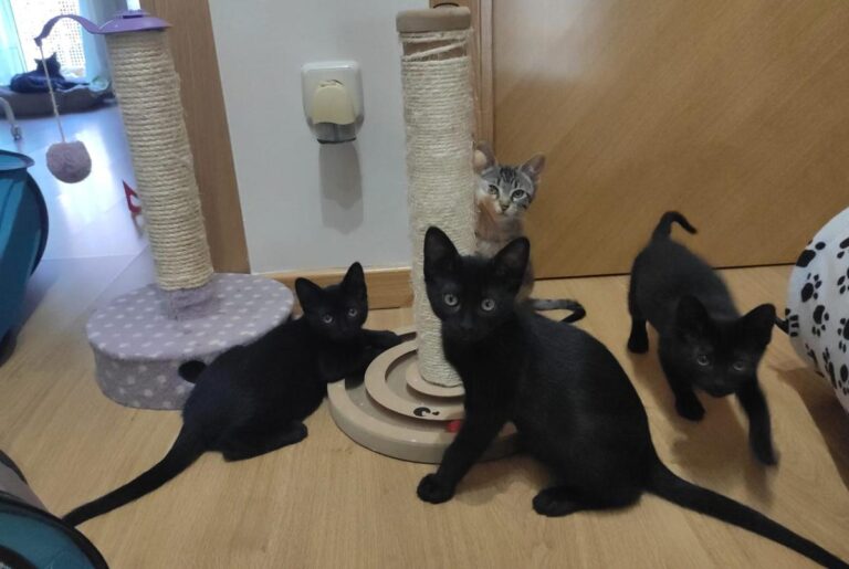 multimedia-foto72105-281-1