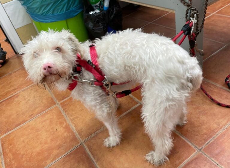 multimedia-foto72108-820-1