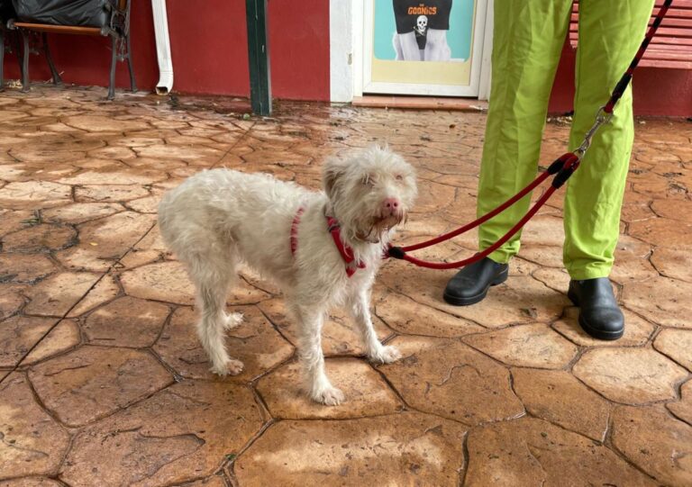 multimedia-foto72109-820-1