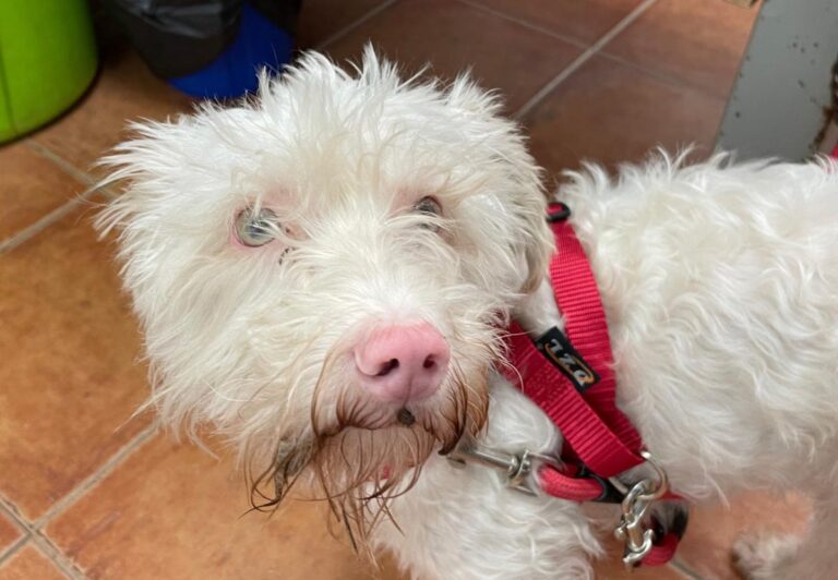 multimedia-foto72110-820-1