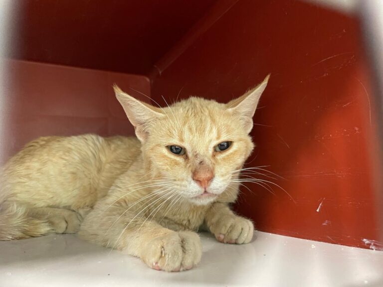 multimedia-foto72138-291-1