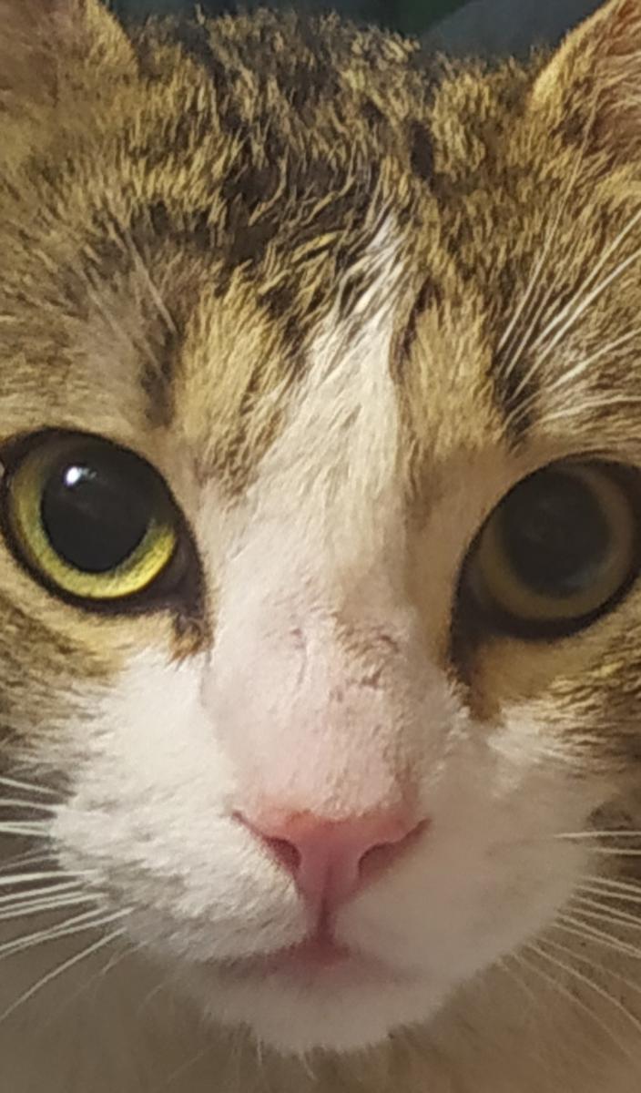 multimedia-foto72163-874-1