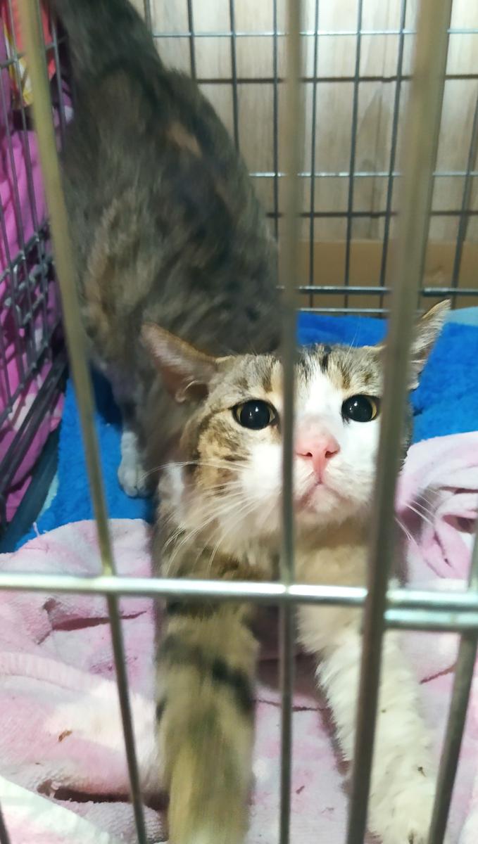 multimedia-foto72166-875-1