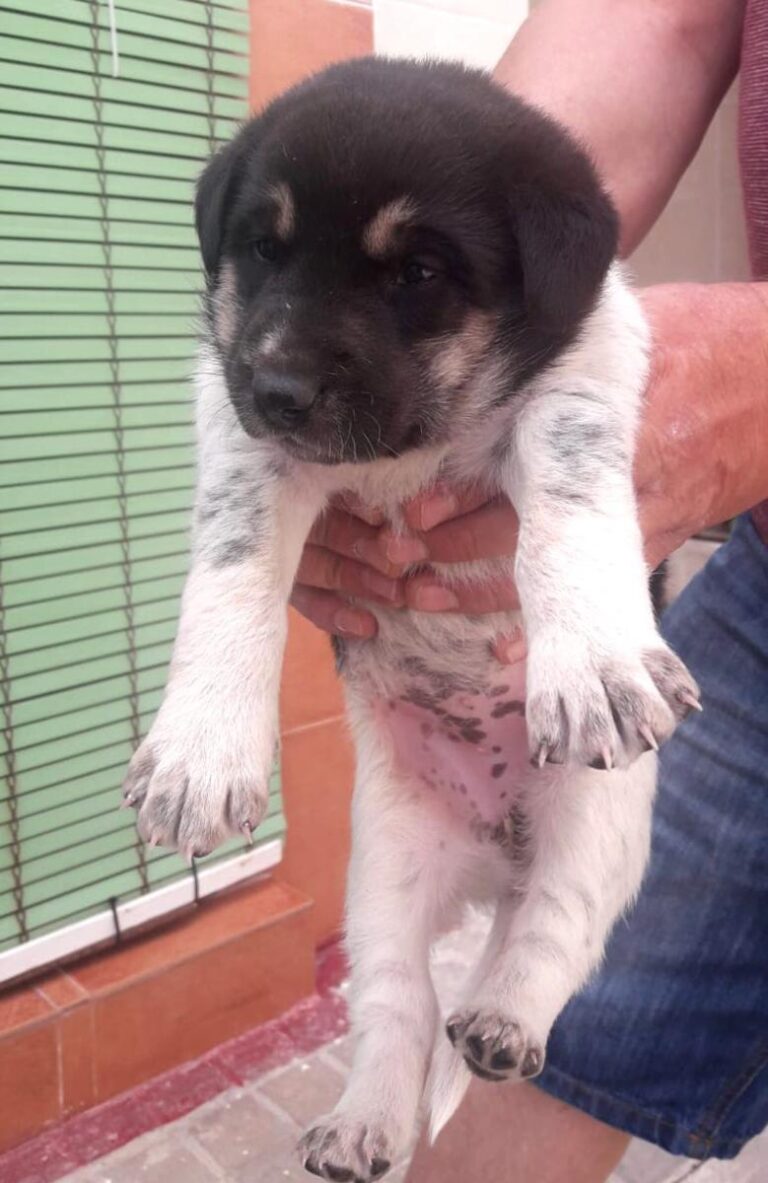 multimedia-foto72174-511-1