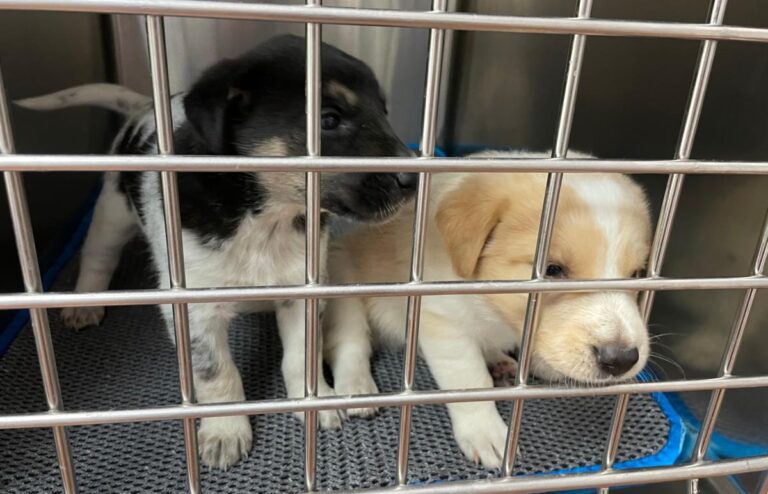 multimedia-foto72178-512-1