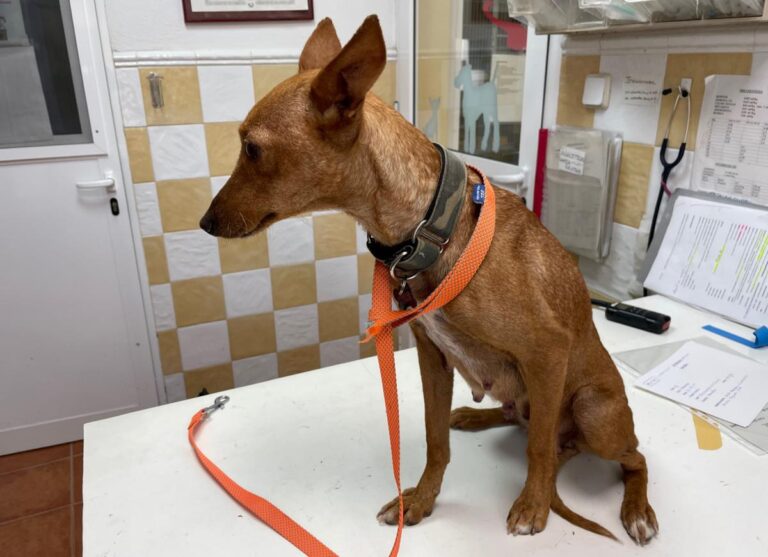 multimedia-foto72216-251-1