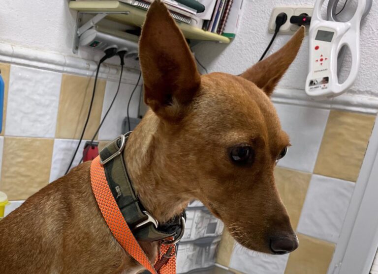 multimedia-foto72219-251-1