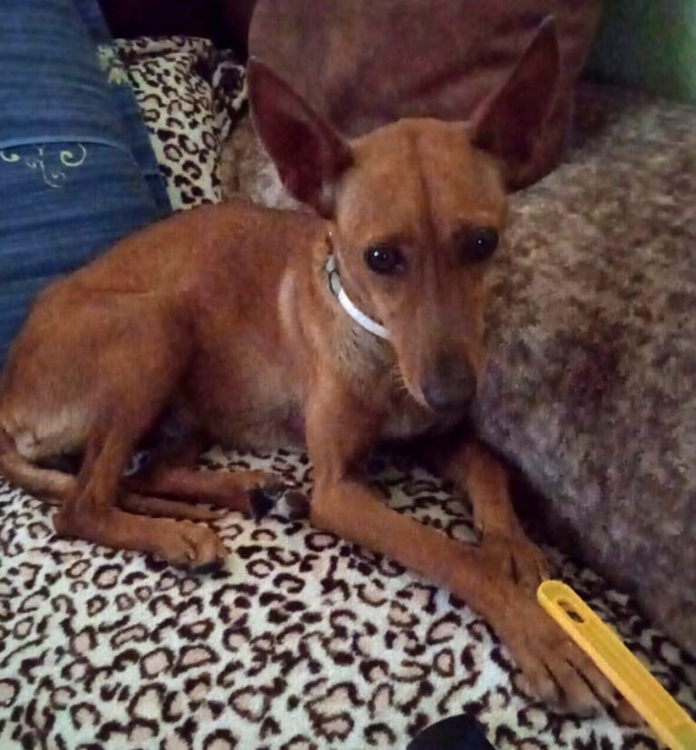 multimedia-foto72221-252-1