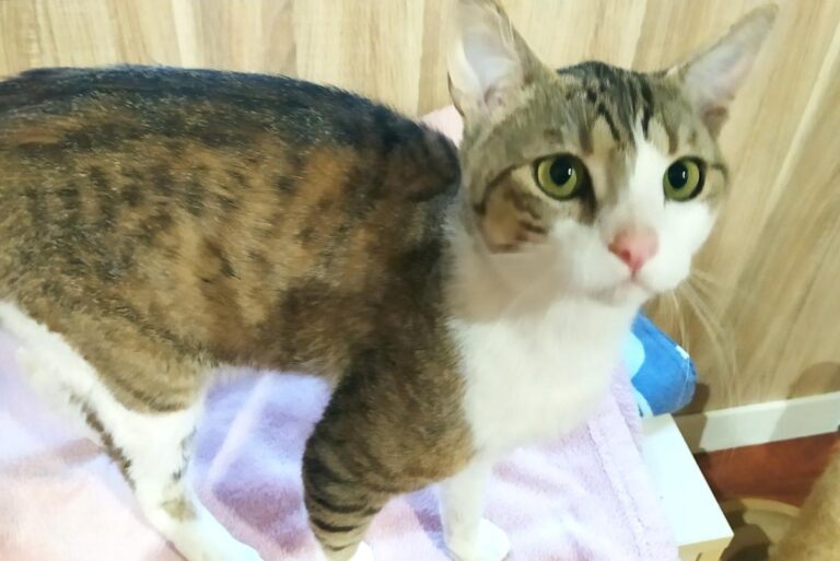 multimedia-foto72224-149-1