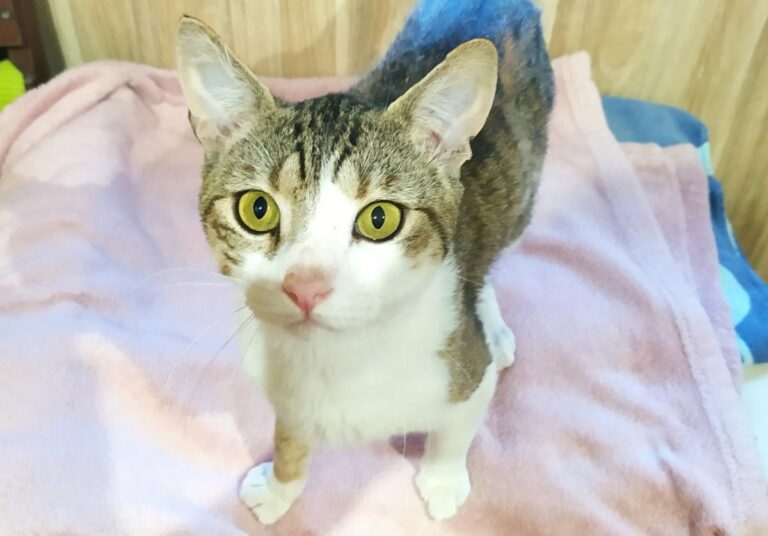 multimedia-foto72225-150-1