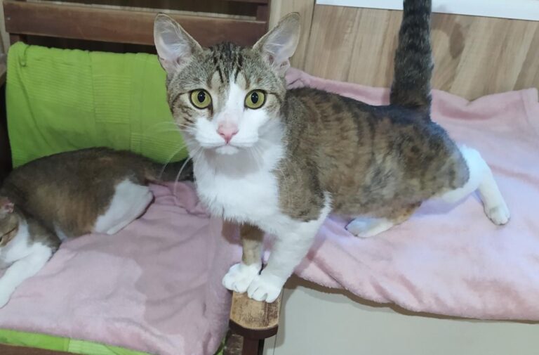 multimedia-foto72226-150-1