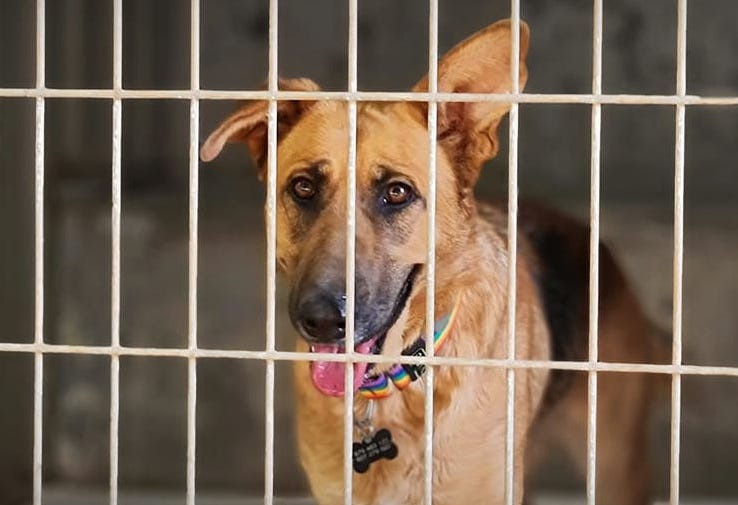 multimedia-foto72231-33-1