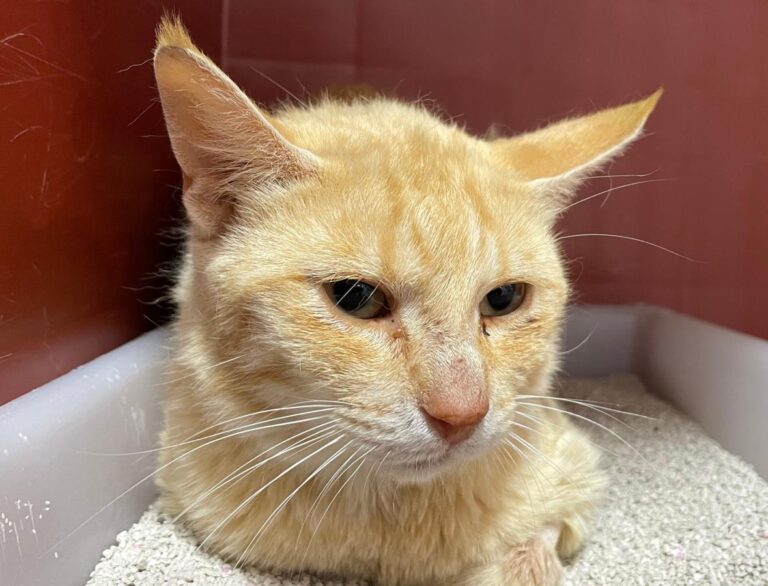 multimedia-foto72244-759-1