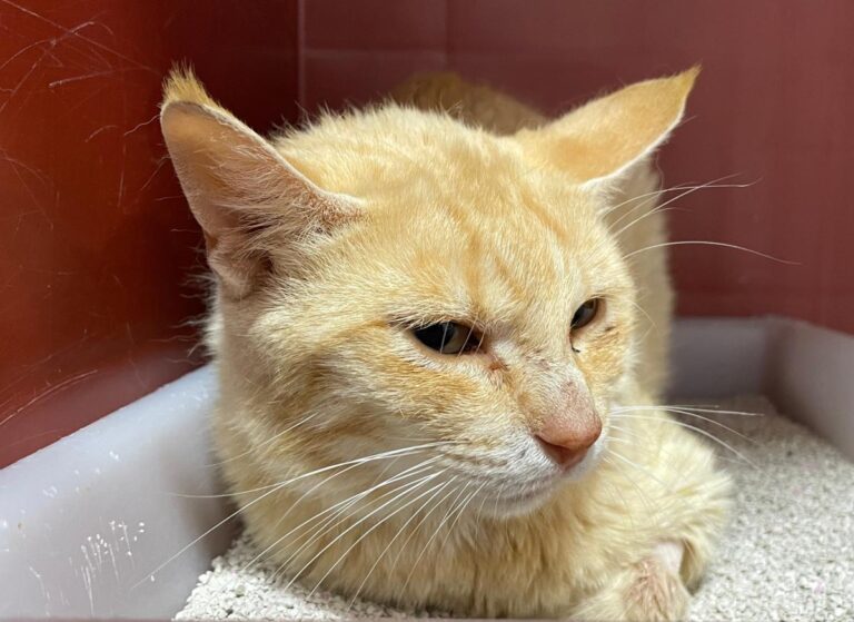 multimedia-foto72245-759-1