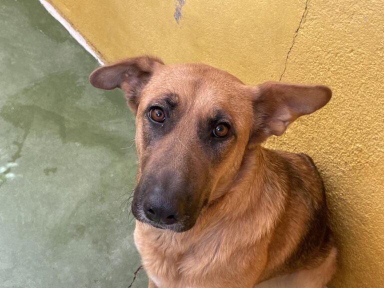 multimedia-foto72262-855-1