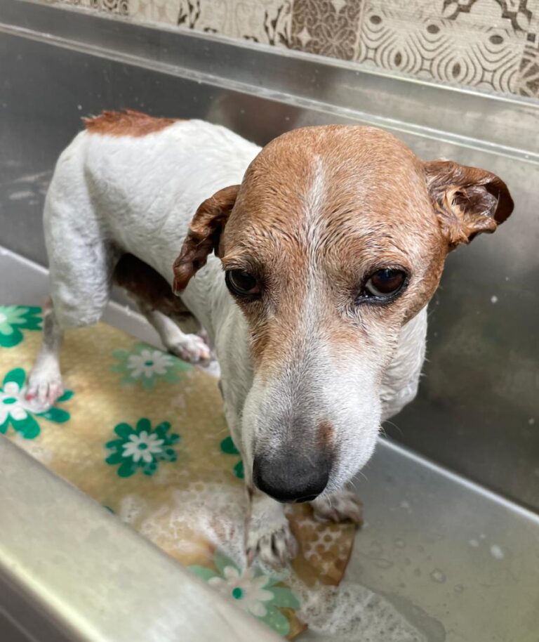 multimedia-foto72264-709-1