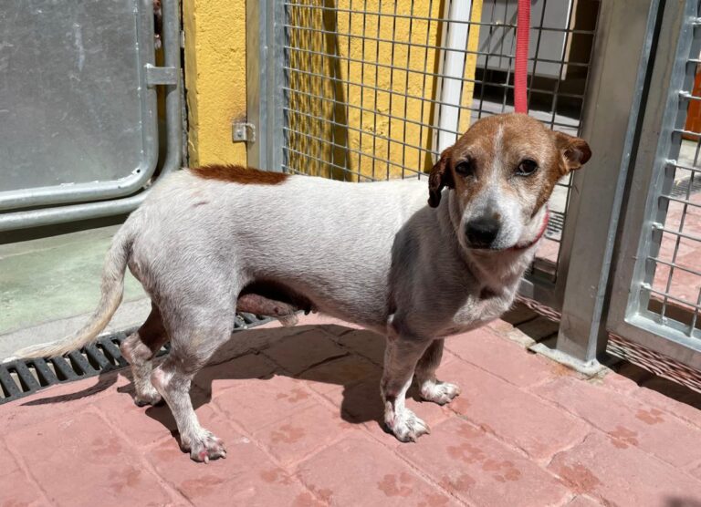 multimedia-foto72266-710-1