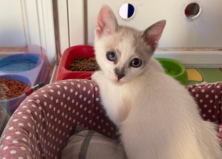 multimedia-foto72287-777-1