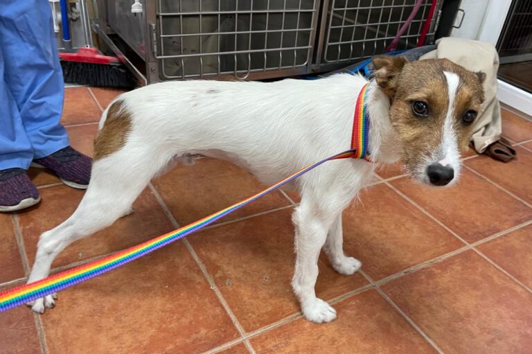 multimedia-foto72325-663-1