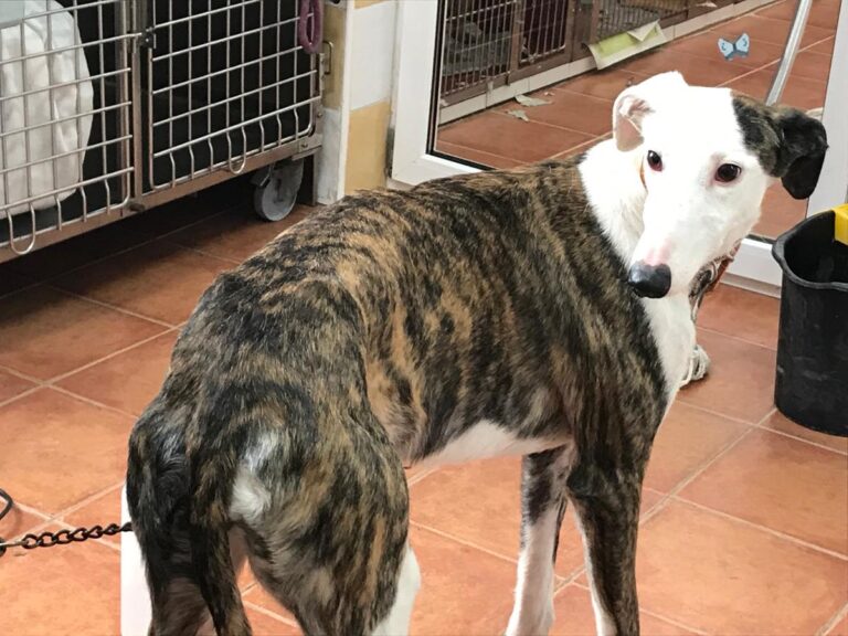 multimedia-foto72359-957-1