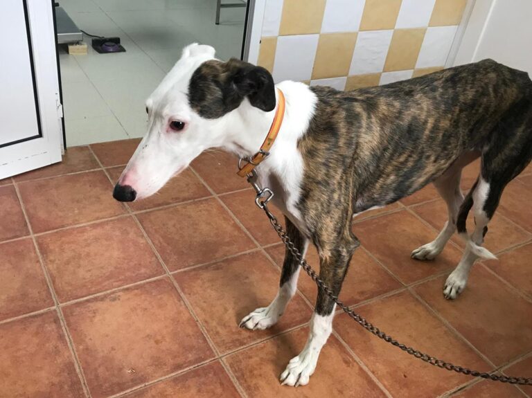 multimedia-foto72361-958-1