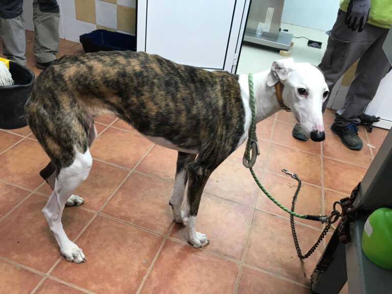 multimedia-foto72362-958-1